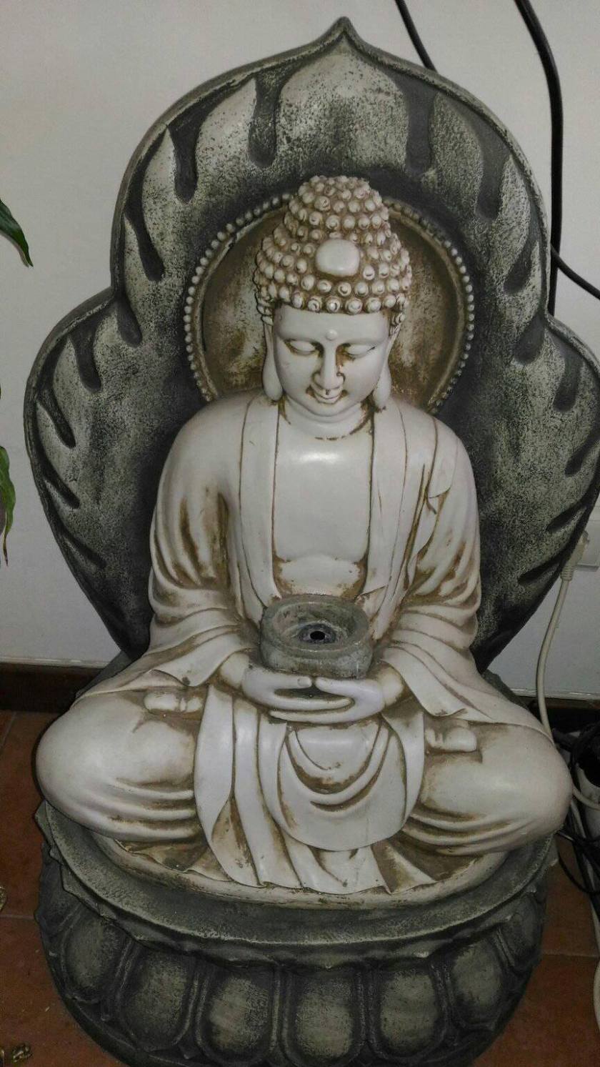 20748046_885101024975059_2172327279295796751_o