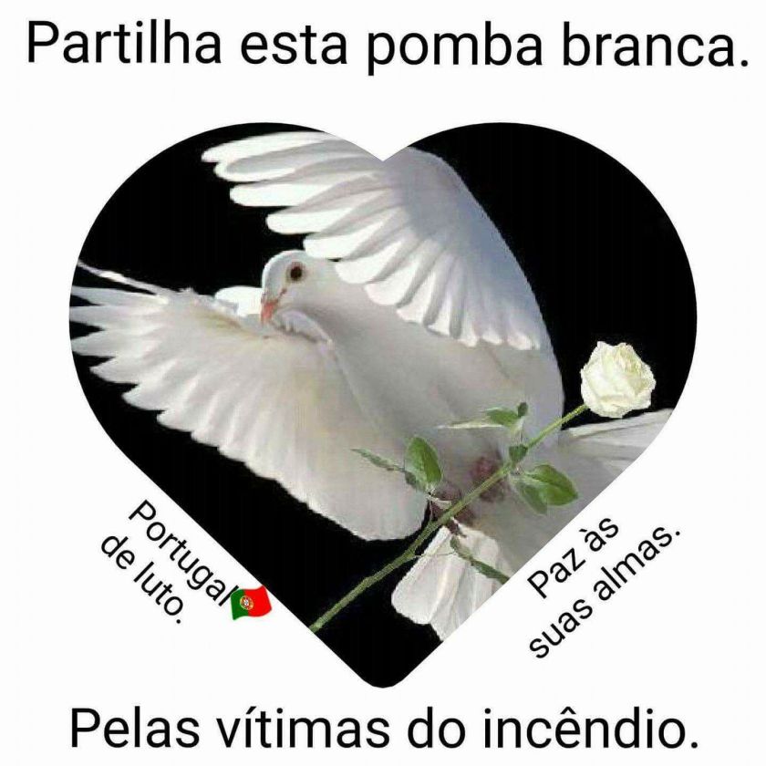 22496283_1891748594174228_718781934760692208_o