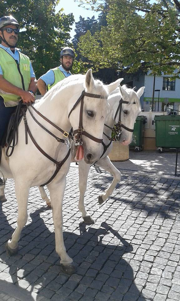 10421321_545486762269822_8513124147567786857_n