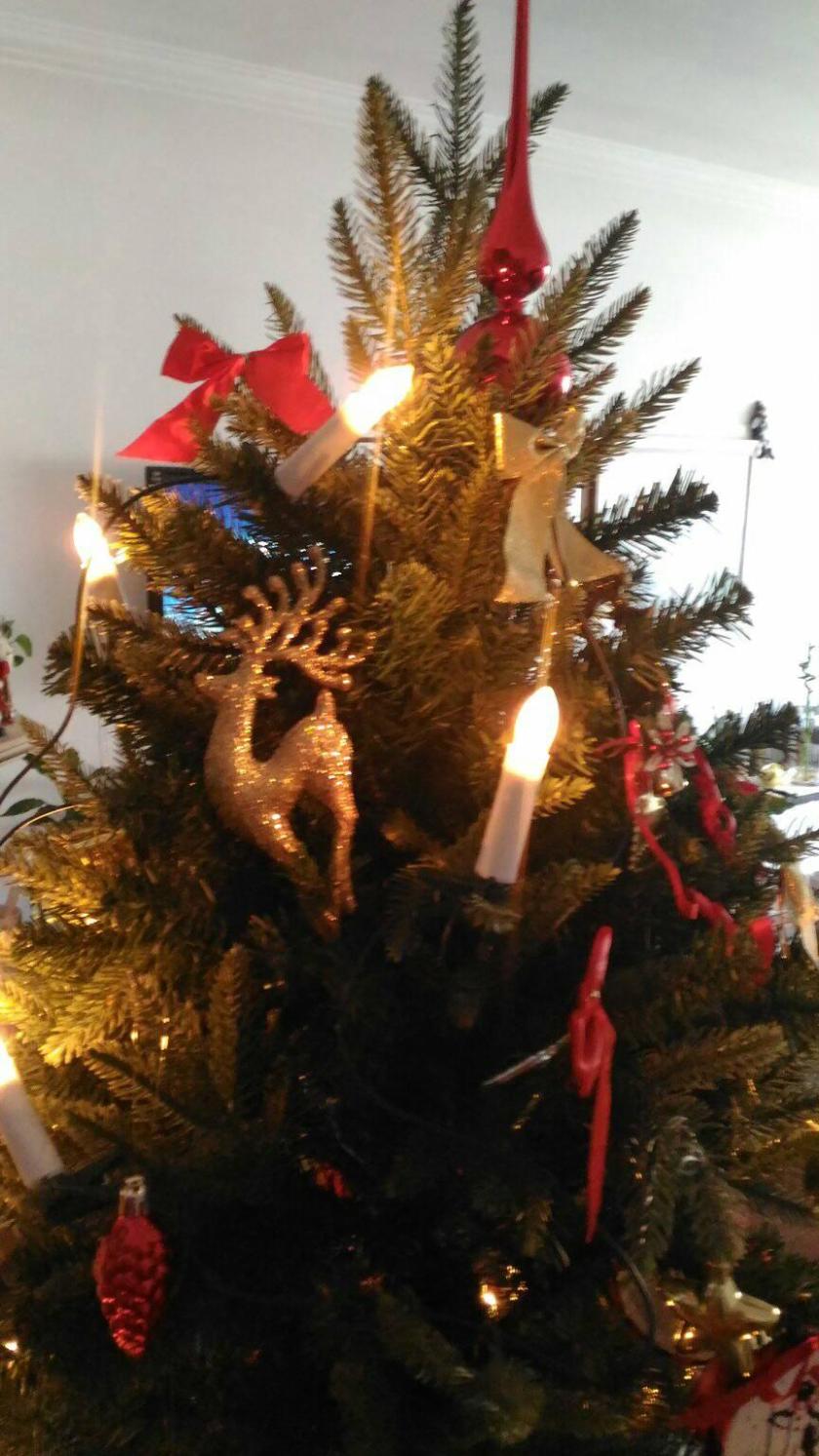 25182199_946586372159857_324633303594874210_o