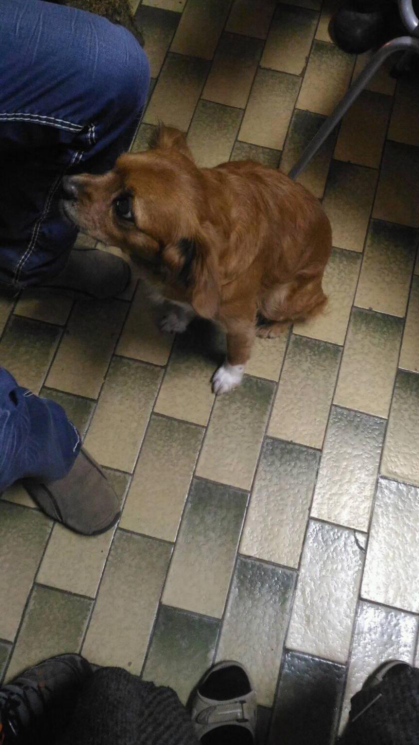 26170508_956307394521088_1371803305121749526_o