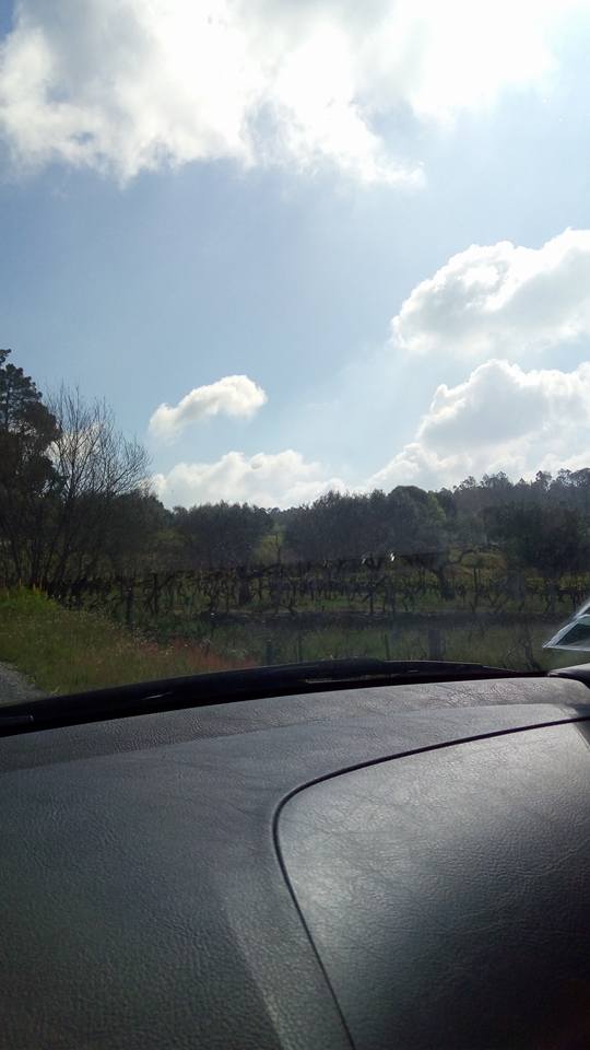 31675823_1031929526958874_6682601179907620864_n