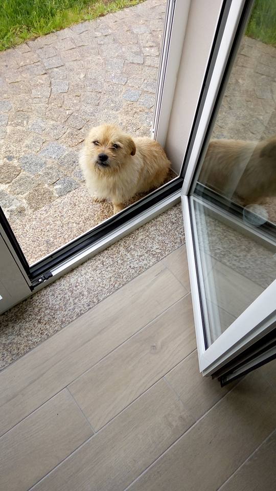 31841458_1032337523584741_4027140995211591680_n