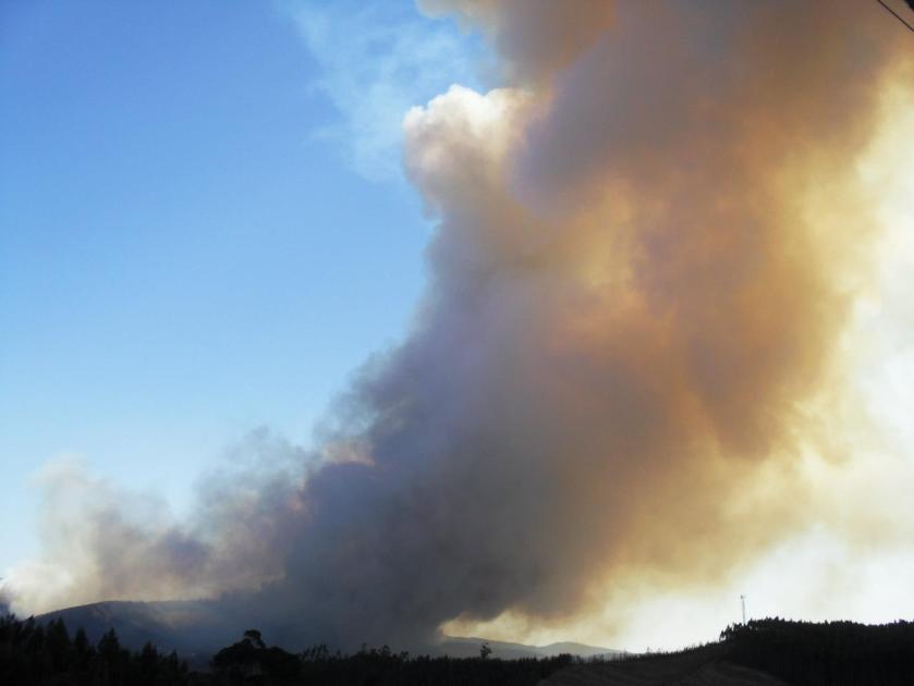 241695_103657329786103_803478005_o