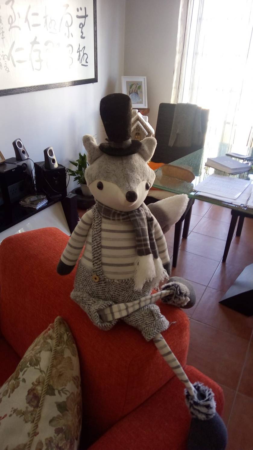 49251703_1226134860871672_4053839662974763008_o