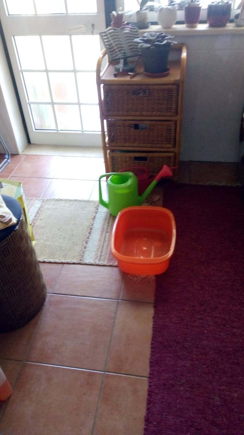 69713658_1414607538691069_3123397777833328640_o