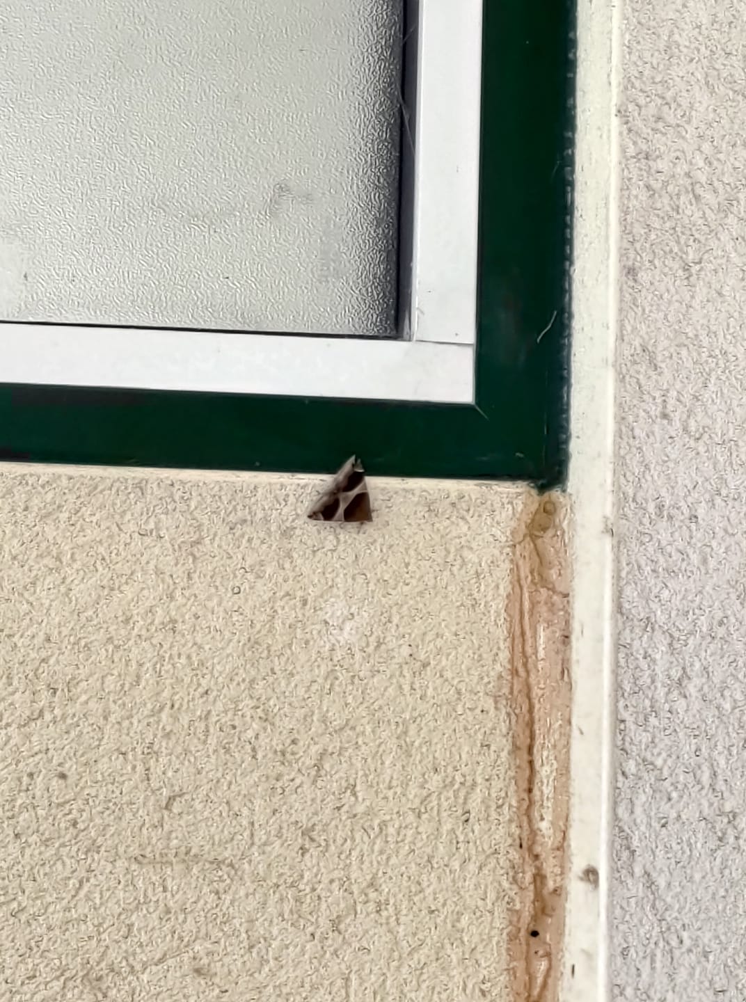 117780351_1739093116242508_139136806074702762_o